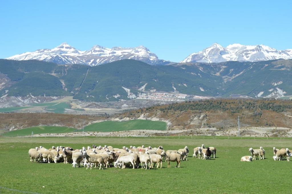 Villa Navasa Esterno foto